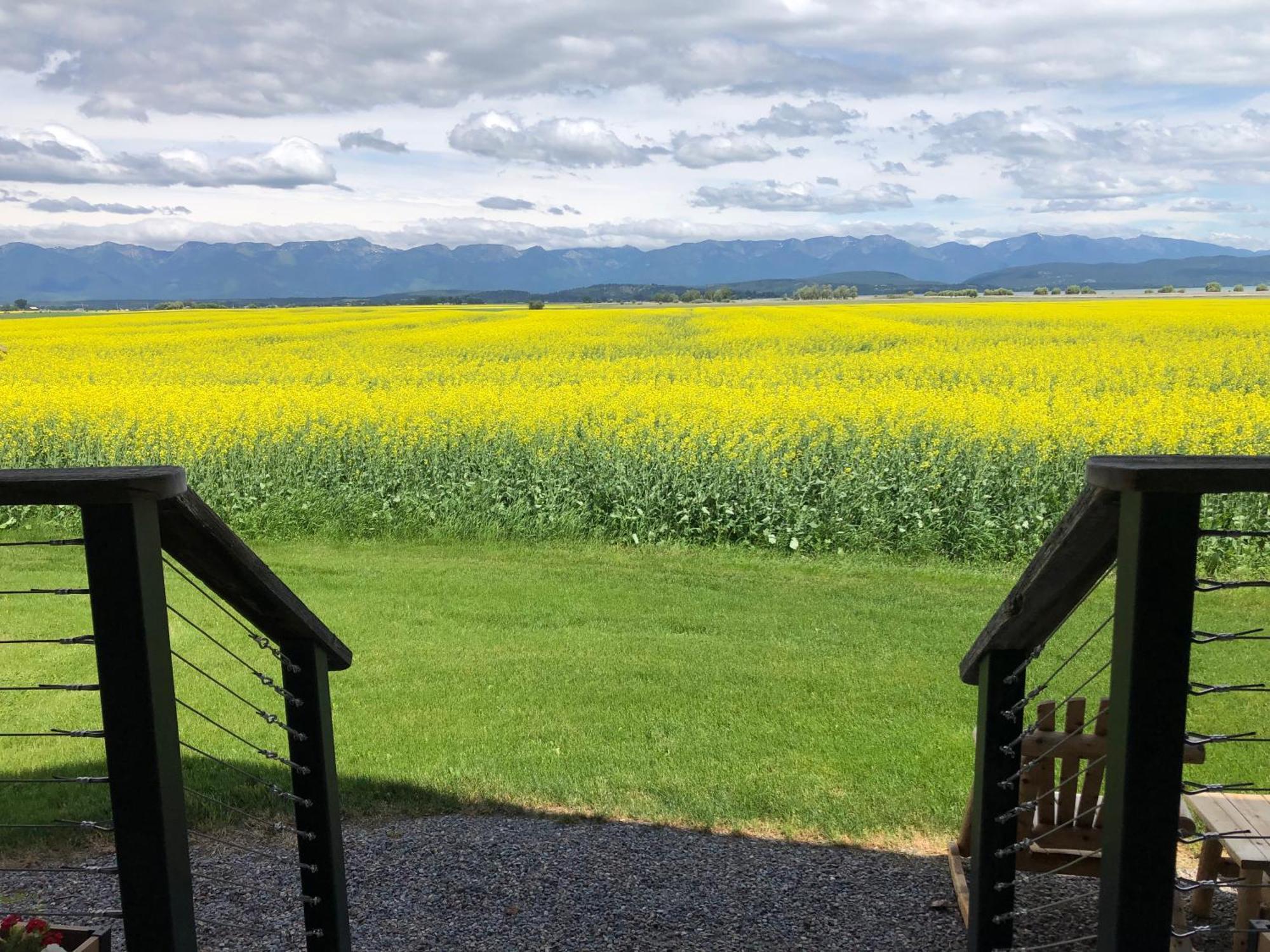 New Cabin With Spectacular Views Of Flathead Lake. Somers Dış mekan fotoğraf